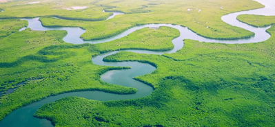 Kubadilisha Umwagiliaji wa Kilimo: Jukumu la Mabomba ya PVC na Viunga